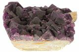 Dark Purple Cubic Fluorite on Quartz - China #94322-1